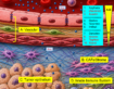 Great drugs punch tumors at different levels